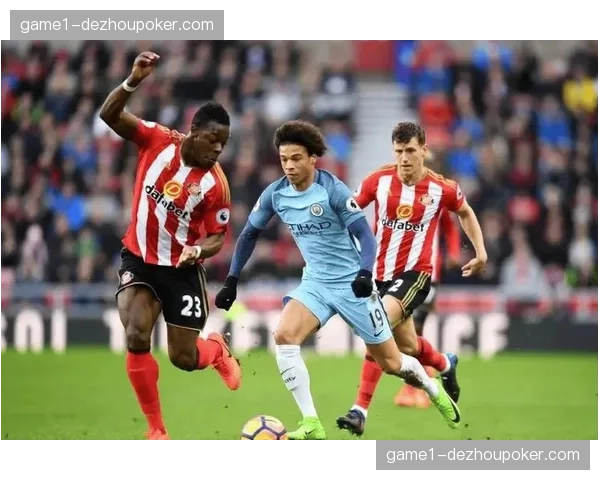 桑德兰重返英超赛场 商业收入预计将获显著提升 桑德兰重返英超赛场 商业收入预计将获显著提升